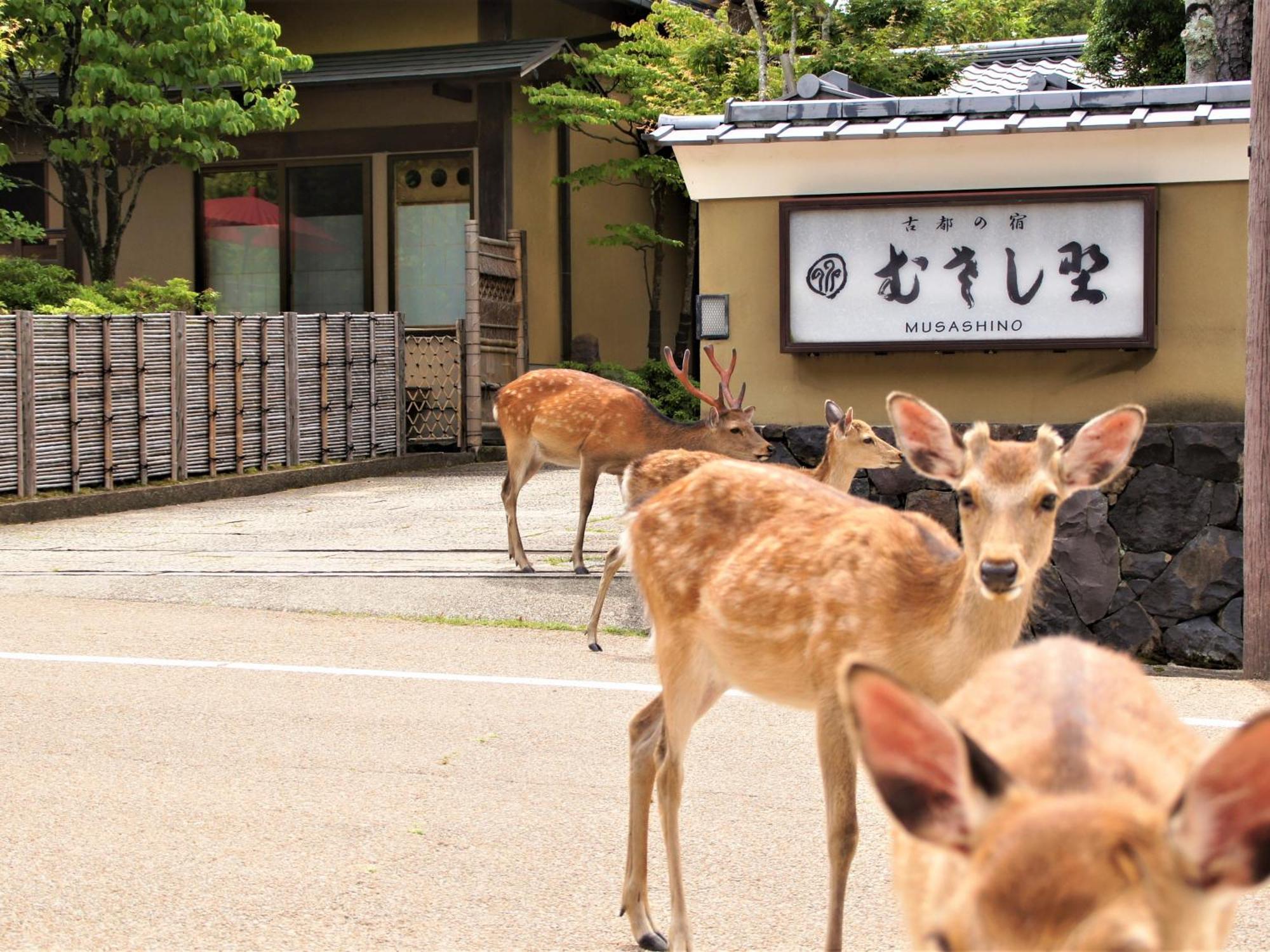 Kotonoyado Musashino Nara Eksteriør bilde